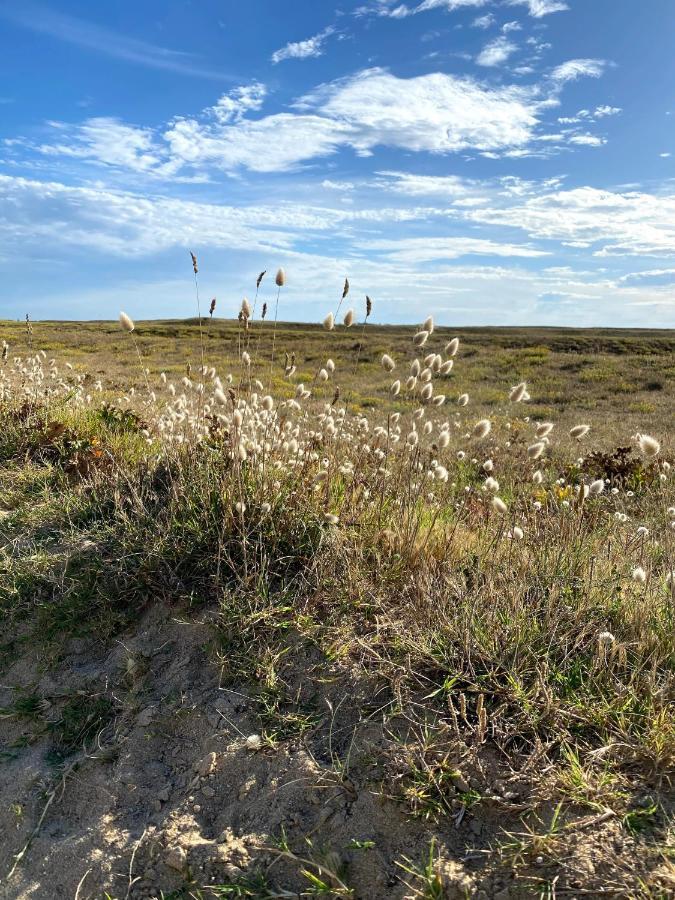 Maison Des Dunes Erdeven Zewnętrze zdjęcie